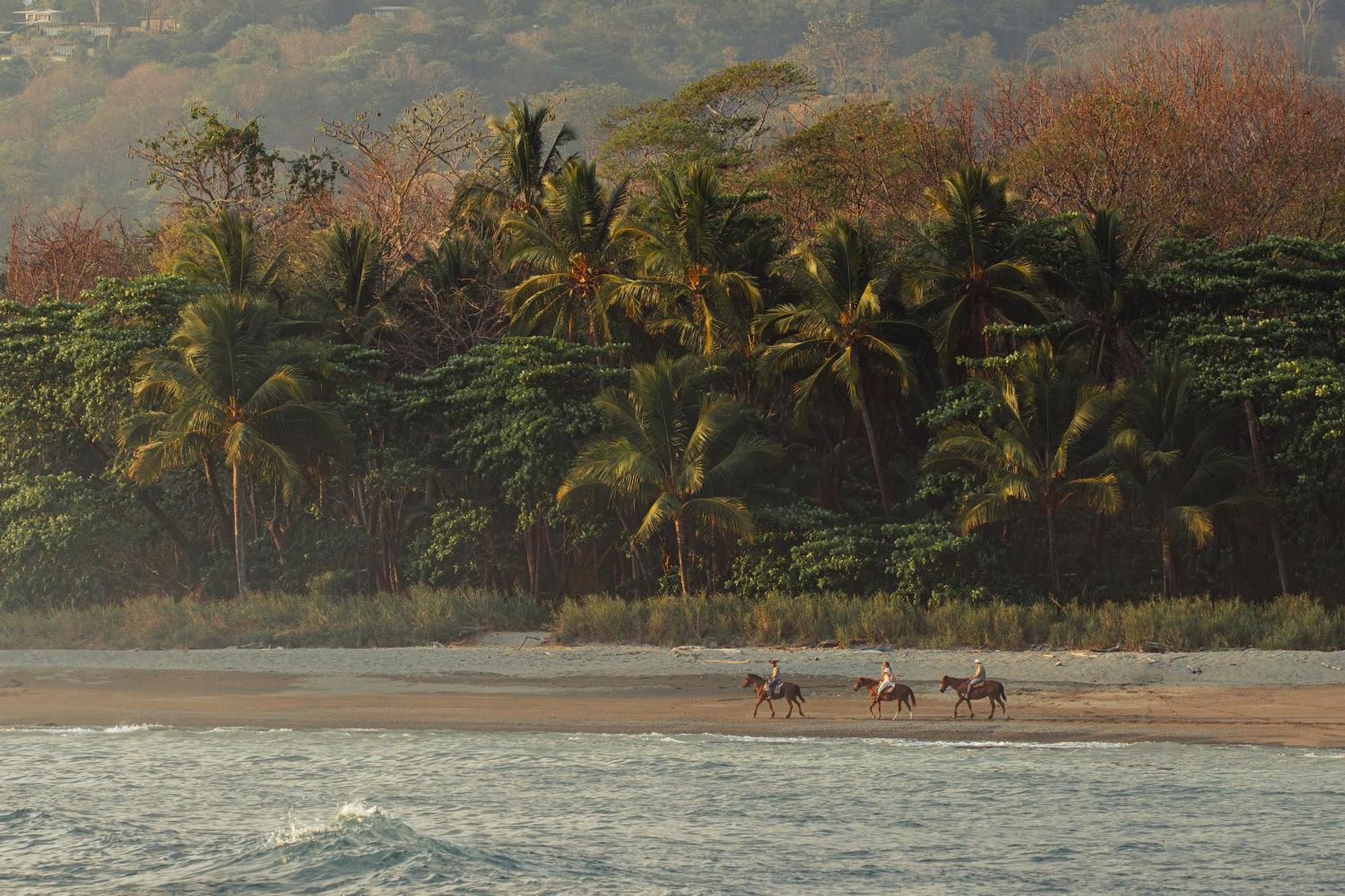 Hotel Santa Teresa By The Beach Playa Santa Teresa  Eksteriør billede